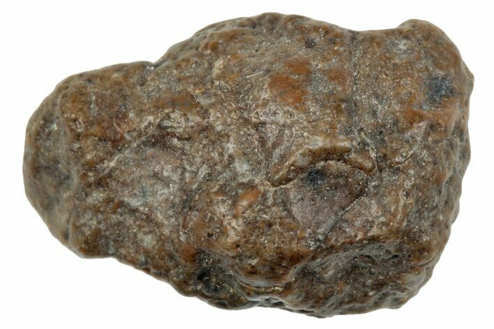 Lunar Meteorite ( g) - NWA #264147